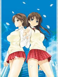 Post 270782