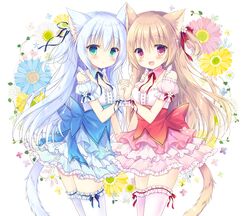 Post 2827135