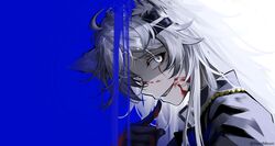 Post 4300454