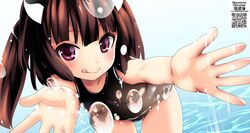 Post 2831106