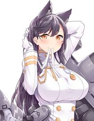 Post 2838124