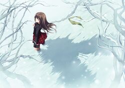Post 272491