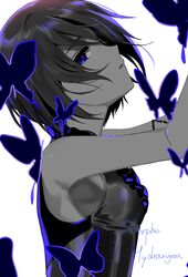 Post 2845093
