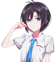 Post 2845094