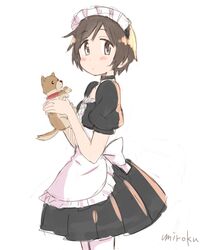 Post 2849204