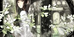Post 2865184