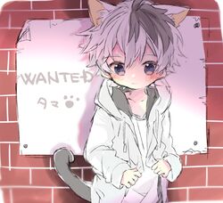 Post 2927317