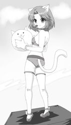 Post 2890872