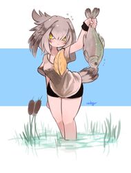Post 2897014