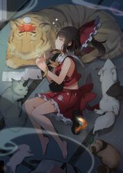 Post 2899772