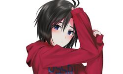 Post 2906860
