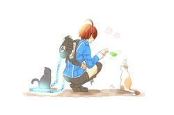 Post 2910731