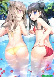 Post 2911072