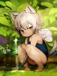 Post 2911639