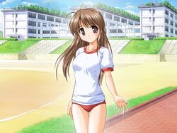 Post 279951