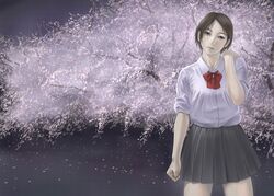 Post 280502