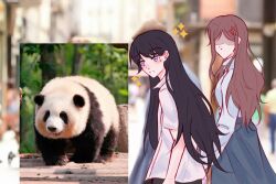 Post 6074404