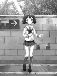Post 2953109