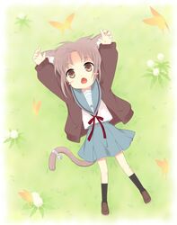 Post 284197