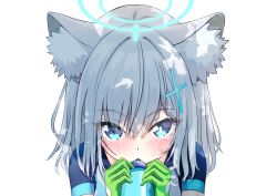 Post 6119029