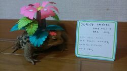 Post 2993921