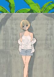 Post 6223906