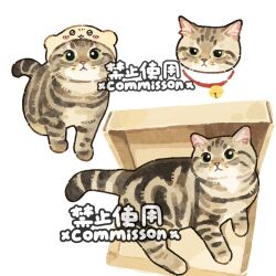 Post 6249217