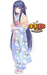 Post 3027075