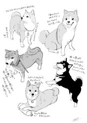Post 3028281