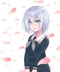 Post 3031081