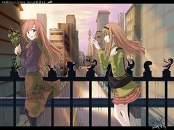 Post 501707