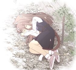 Post 3047092