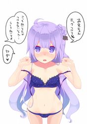 Post 3068700
