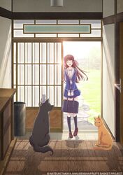 Post 3055116