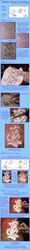 Post 294445