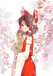Post 3076597