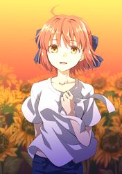Post 3081065