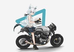 Post 3083024