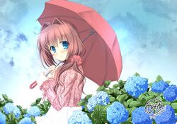 Post 3100660