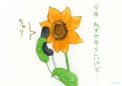 Post 6412448