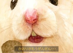Post 6412469