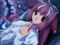 Post 302614