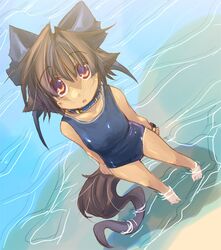 Post 306809