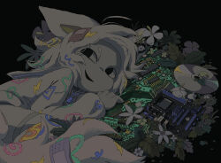 Post 5327317