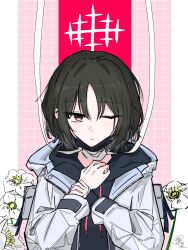 Post 6634016