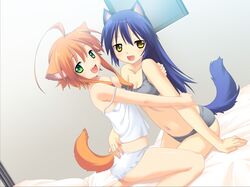 Post 310066