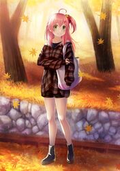 Post 3240186
