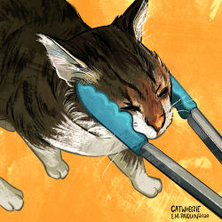 Post 6611495