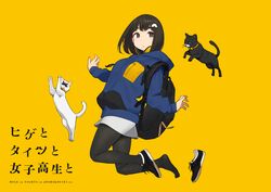Post 3255088