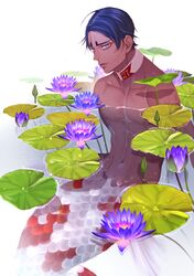 Post 3265021